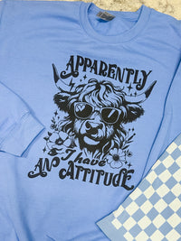 Attitude Graphic Pullover